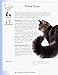 ASPCA Complete Guide to Cats: Everything You Need to Know About Choosing and Caring for Your Pet (Aspc Complete Guide to)