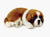The Perfect Petzz St. Bernard Puppy Bundle