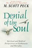 Denial of the Soul : Spiritual and Medical Perspectives on Euthanasia and Mortality