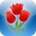 Greeting Card Guide for Android