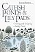 Book Catfish Ponds and Lily Pads: Creating and Enjoying a Family Pond