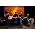 Vignette de All Shall Perish