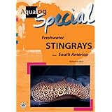 freshwater stingrays from south america aqualog special