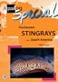 Freshwater Stingrays from South America (AQUALOG Special)