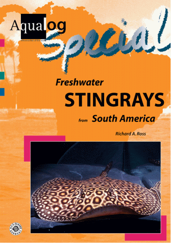 Stingrays
