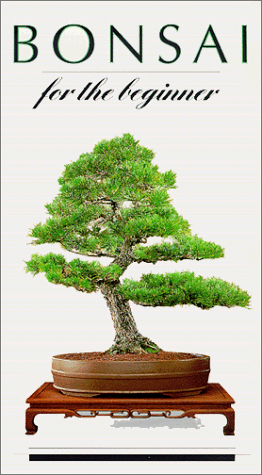 Video: Bonsai for the Beginner