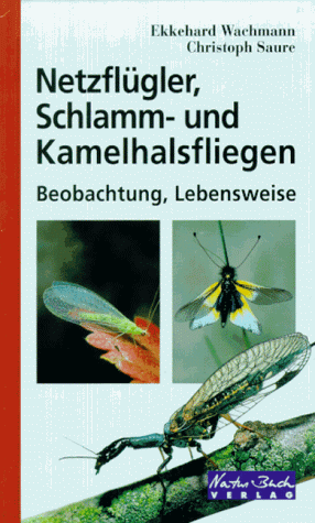 Netzfluegler