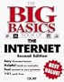 The Big Basics Book of the Internet
