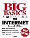 The Big Basics Book of the Internet