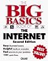 The Big Basics Book of the Internet