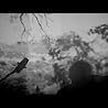 EXCLUSIVE Black Rebel Motorcycle Club footage from recording the album Specter At The Feast