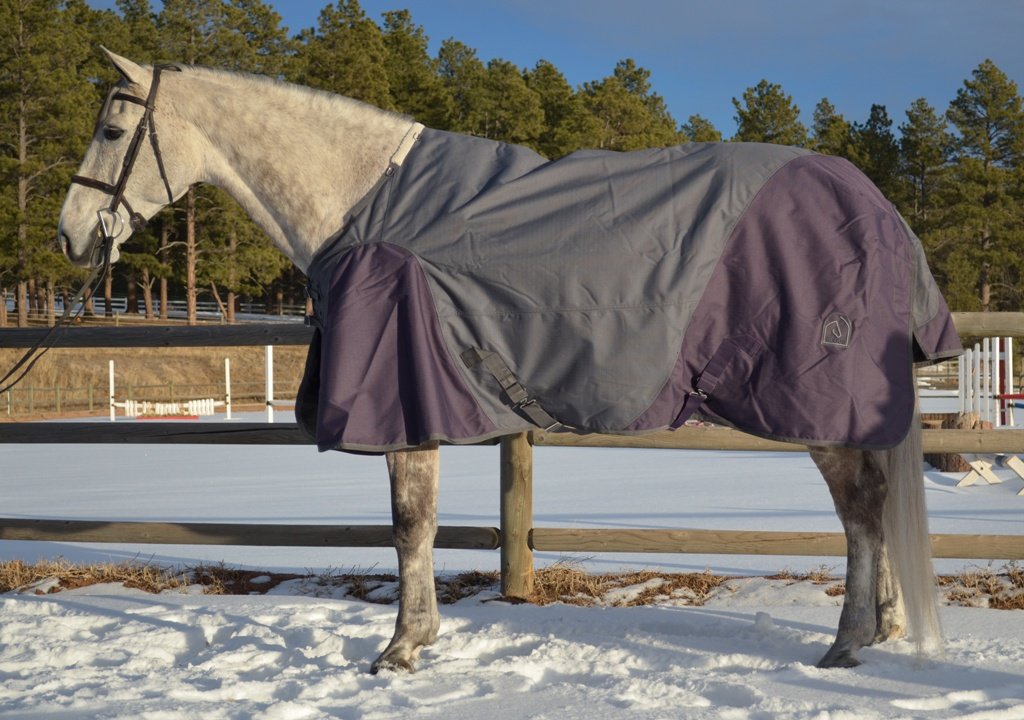 Best Medium Weight Horse Blankets Best Medium Weight Horse Blankets