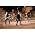 Thumbnail image of Rise Against