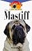 The Mastiff: An Owner's Guideto a Happy Healthy Pet