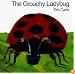 The Grouchy Ladybug