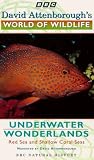David Attenborough s World Of Wildlife 5 - Underwater Wonderlands
