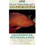 David Attenborough's World Of Wildlife 5 - Underwater Wonderlands