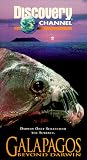 Galapagos: Beyond Darwin [VHS]