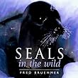Seals in the Wild