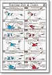 Exercise Do's & Don'ts Fitness Chart