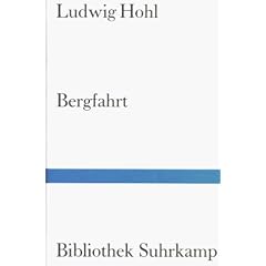 Bergfahrt