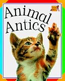 Animal Antics
