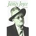 James Joyce (suhrkamp taschenbuch)