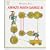 Anno's Math Games 3 (No 3)