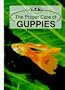 Proper Care of Guppies (Tw-133)