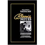 Richard Wright's Native Son (Bloom's Notes) book cover
