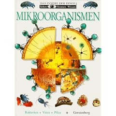 Mikroorganismen. Bakterien, Viren, Pilze