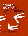 Animal Tracks of New England: Connecticut, Maine, Massachusetts, Rhode Island, New Hampshire and Vermont