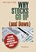 Book Why Stocks Go Up (and Down)
