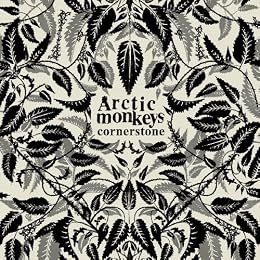 Arctic Monkeys Picture 2