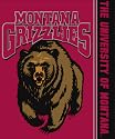 Montana Grizzlies NCAA Licensed 50" x 60" Stripes Raschel Throw Blanket