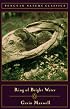 Ring of Bright Water (Penguin Nature Classics Series)