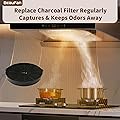 Beaufan 2 Pack Charcoal Filter Replacement for Tieasy USGDCF-G