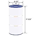 Wowreed Pool Filter Compatible with CX800RE, Star-Clear II C800