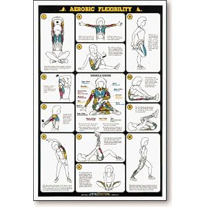 Aerobic Flexibility Fitness Chart