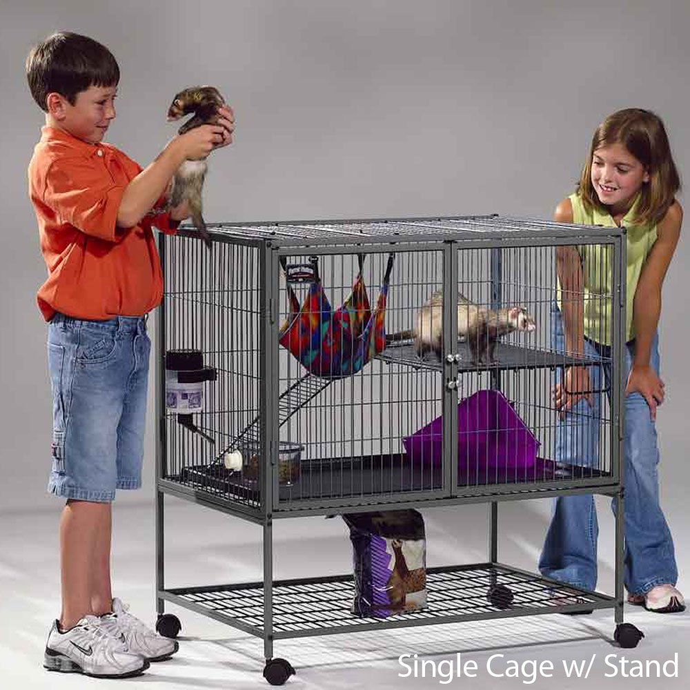 Are cages with wire bottoms bad? Rat Forum