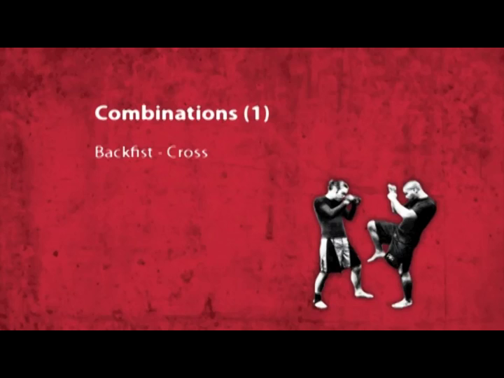 Mixed Martial Arts Fighting Techniques Apply the Modern Training