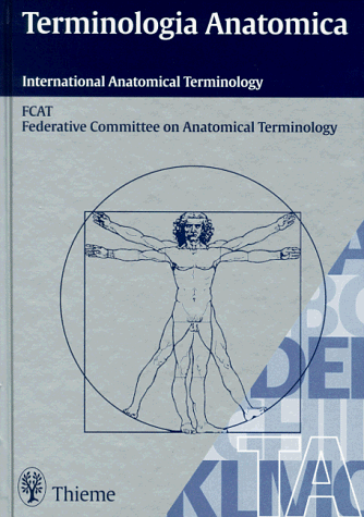 Terminologia