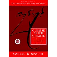 Glimpse After Glimpse: Daily Reflections on Living and Dying