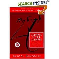 Glimpse After Glimpse: Daily Reflections on Living and Dying