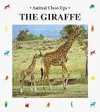 The Giraffe (Animal Close-Ups)