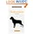 A New Owners Guide to Rottweilers (JG Dog)