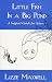 Little Fish in a Big Pond: A Support Guide for Actors