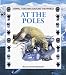 At the Poles