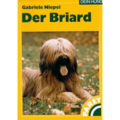 Der Briard