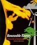 Renewable Energy: Power for a Sustainable Future